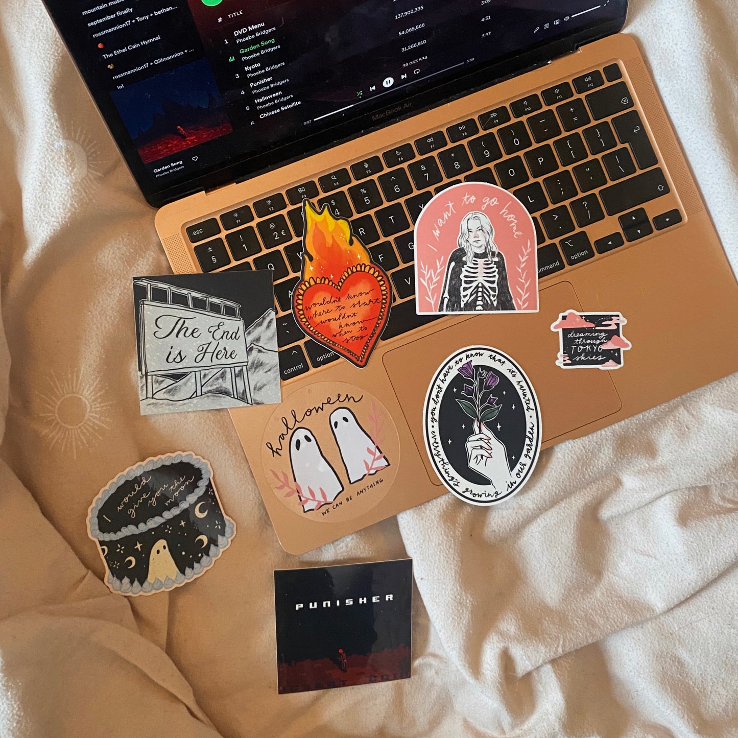 Punisher Phoebe Bridgers Sticker Pack