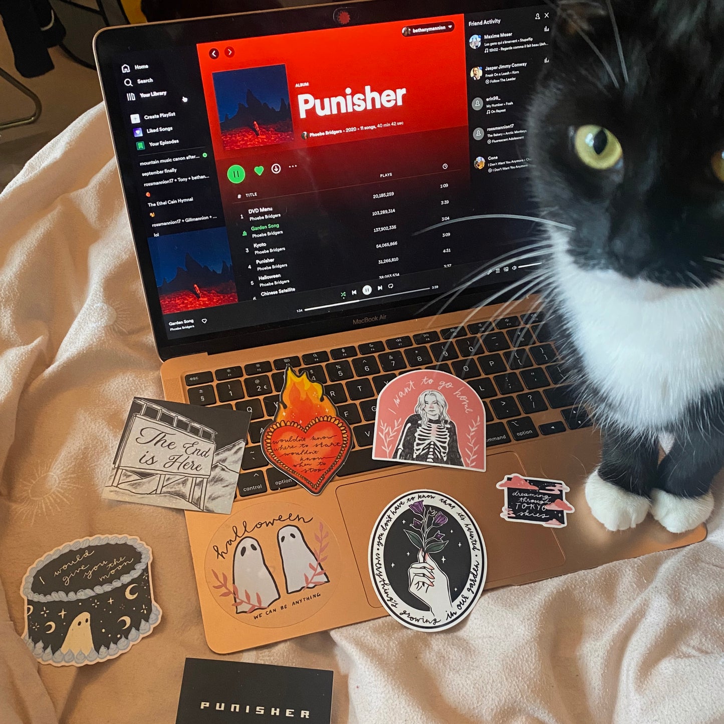 Punisher Phoebe Bridgers Sticker Pack